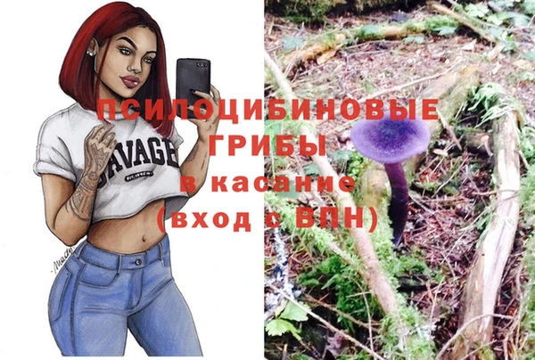 дмт Алзамай