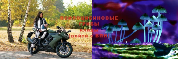 дмт Алзамай
