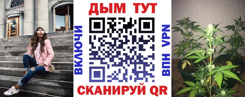 Шишки марихуана VHQ Ветлуга
