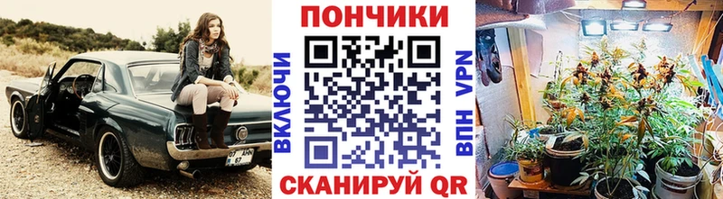 Бошки Шишки Bruce Banner  Ветлуга 